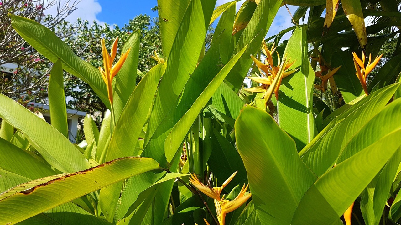 Photo of Outdoor in Las Galeras