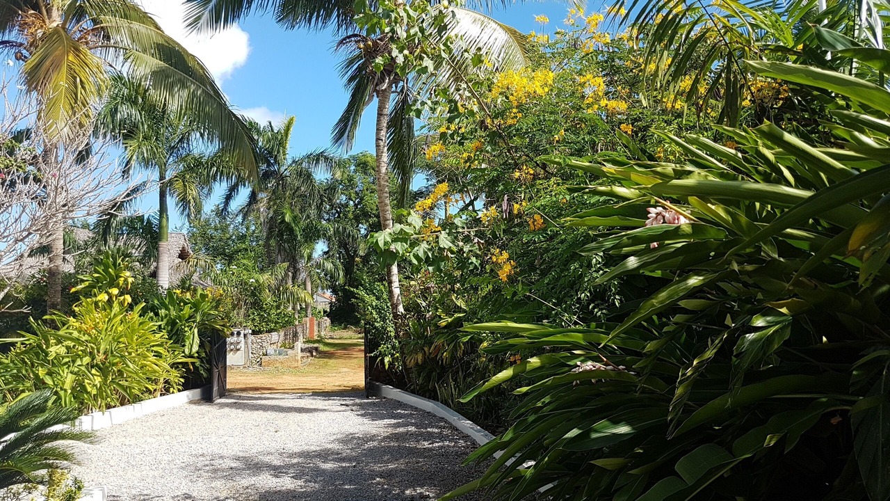 Photo of Outdoor in Las Galeras