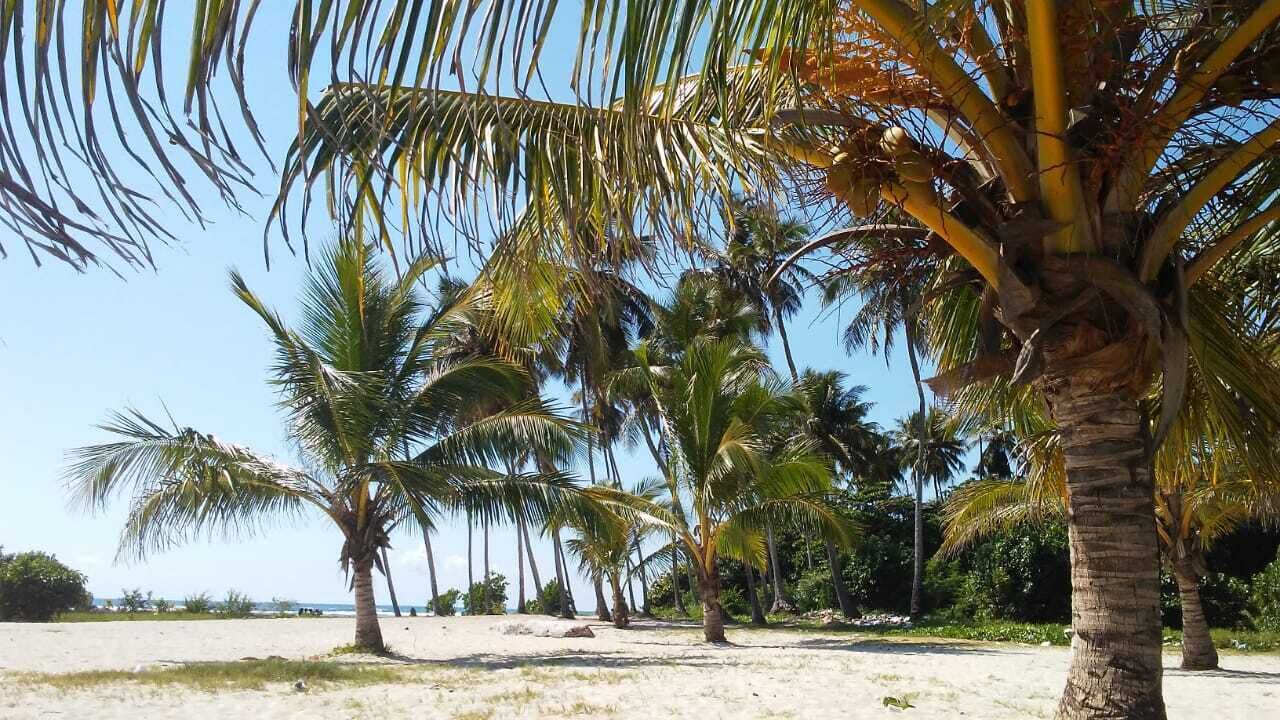 Photo of Others in Casa de Campo