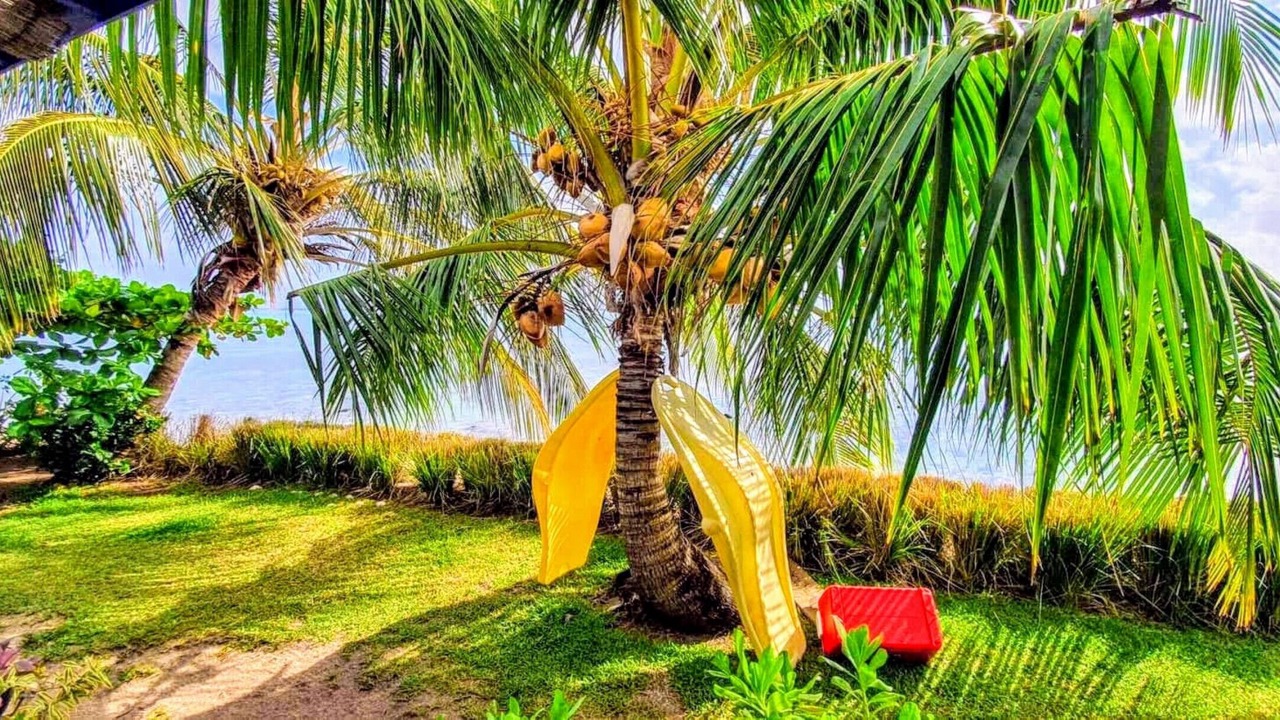 Photo of Outdoor in Nu'urua