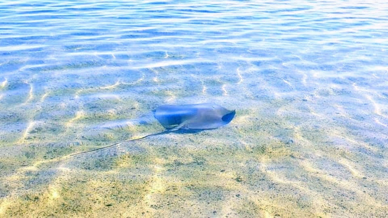 Photo of Others in Nu'urua