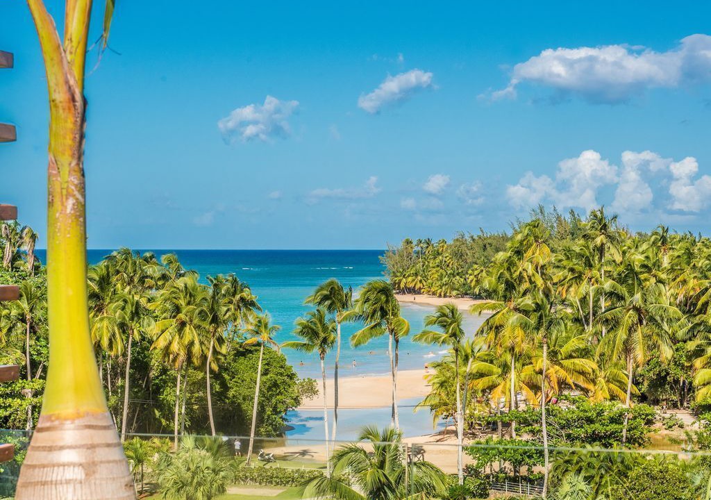 Photo of Others in Las Terrenas