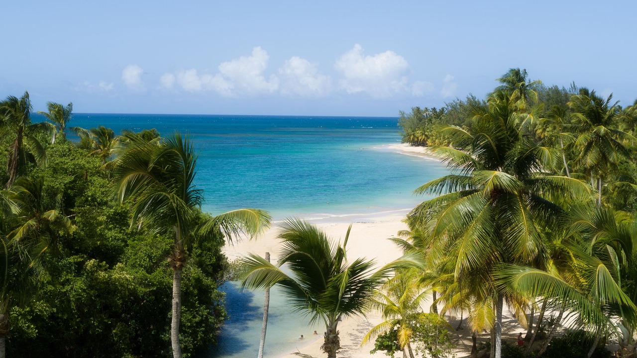 Photo of Others in Las Terrenas