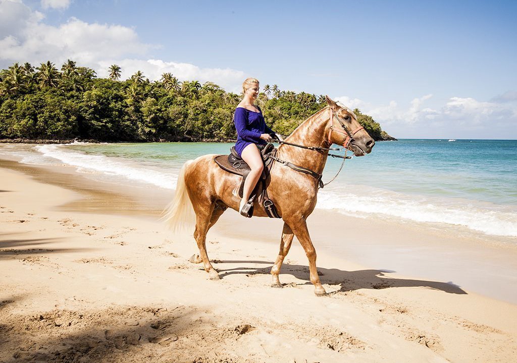 Photo of Others in Las Terrenas