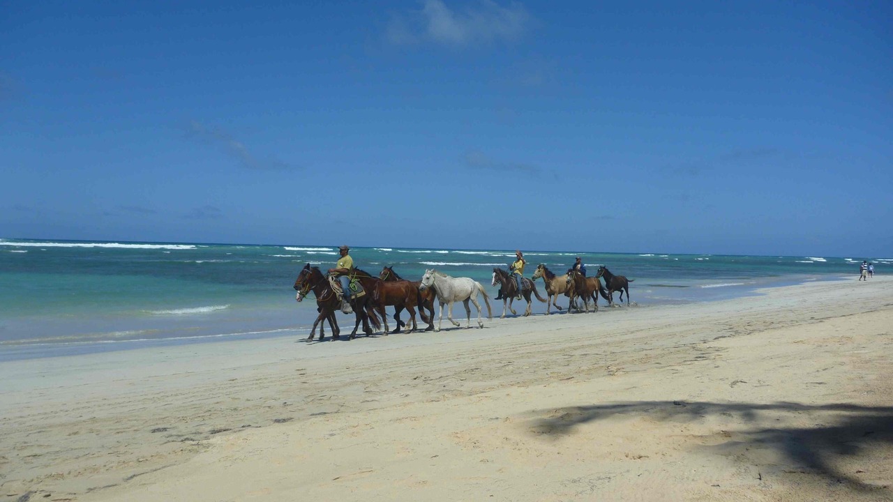 Photo of Others in Punta Cana