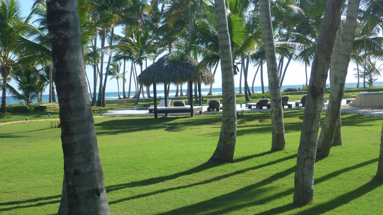 Photo of Outdoor in Punta Cana