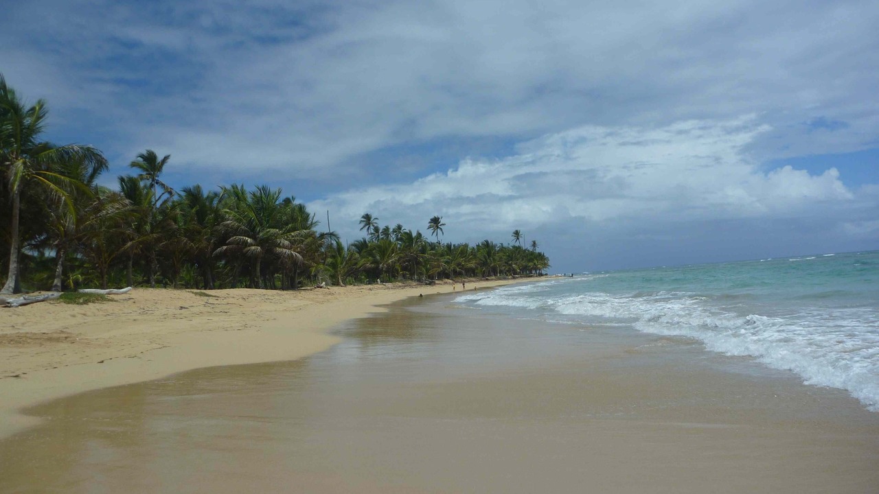 Photo of Others in Punta Cana
