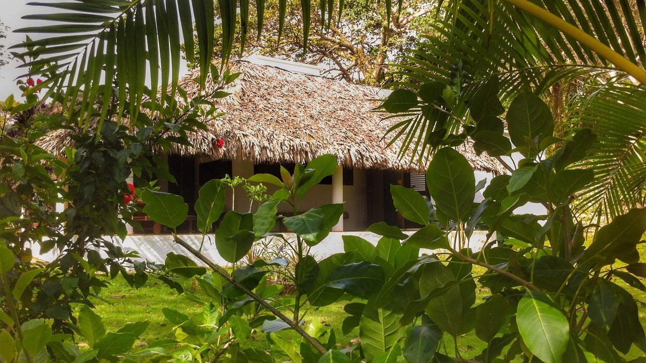 Photo of Outdoor in Las Galeras