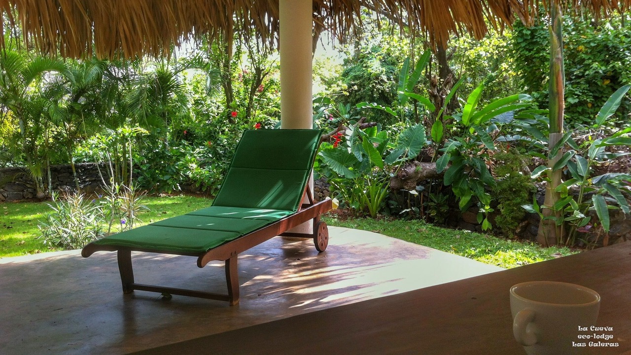 Photo of Outdoor in Las Galeras