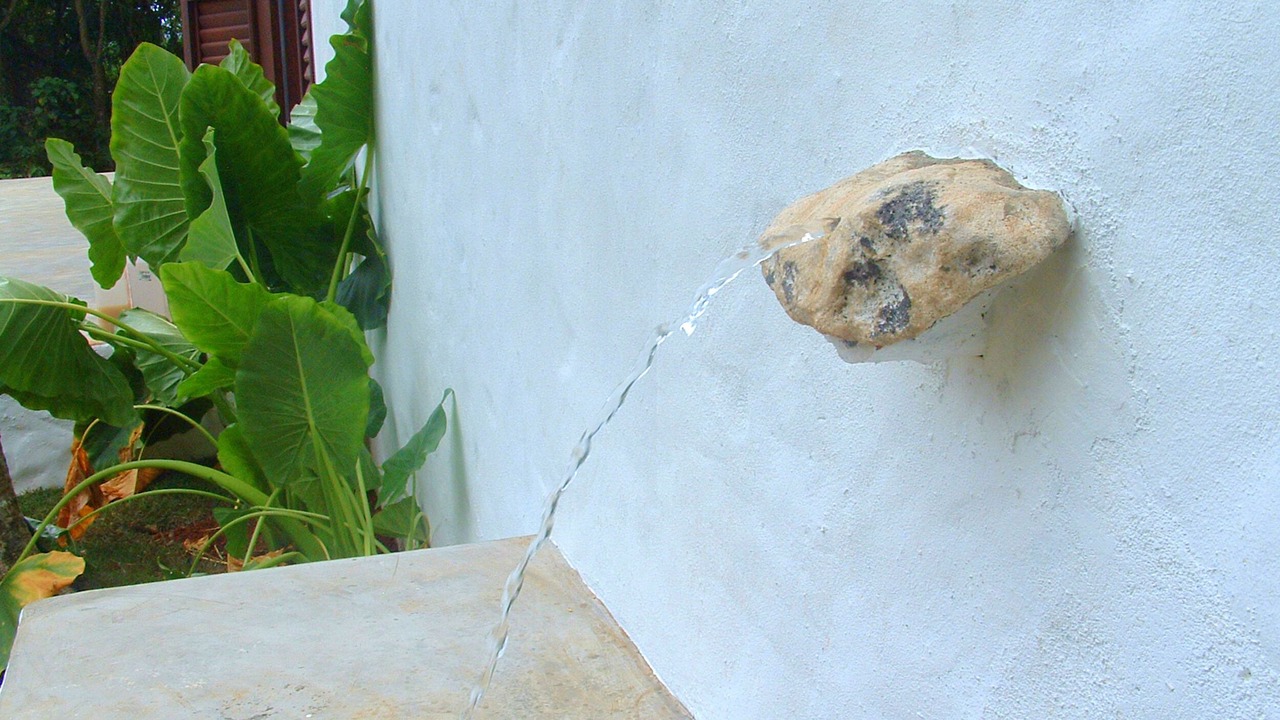 Photo of Outdoor in Las Galeras