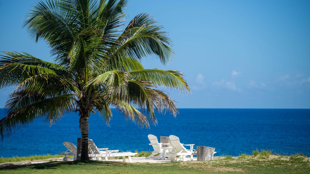 Photo of Outdoor in Playa Chiquita