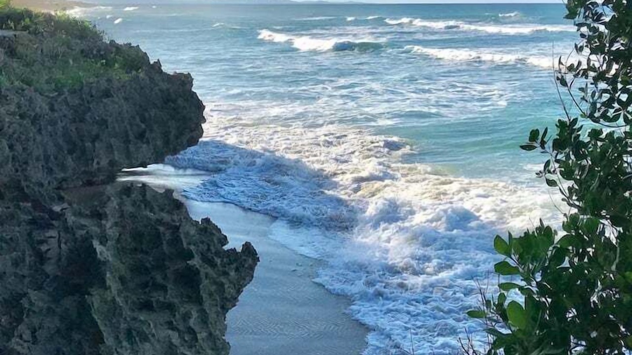 Photo of Others in Cabarete
