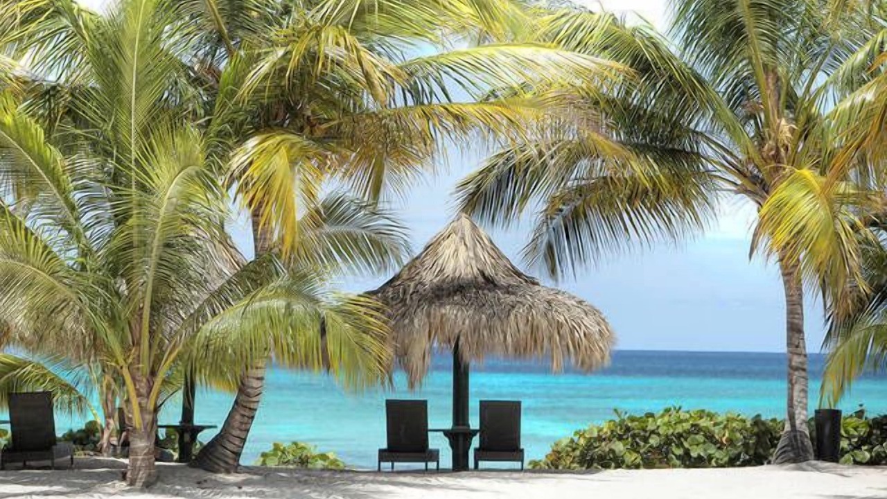 Photo of Others in Dominicus