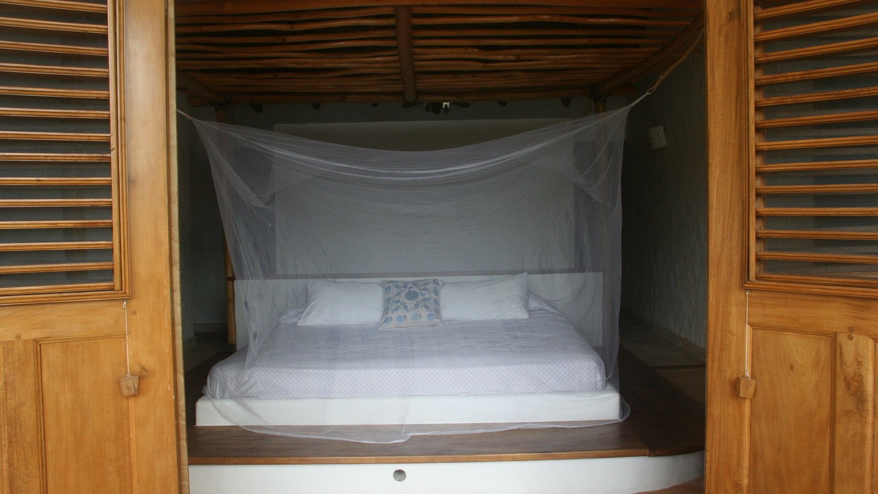 Photo of Patio Balcony in Las Terrenas