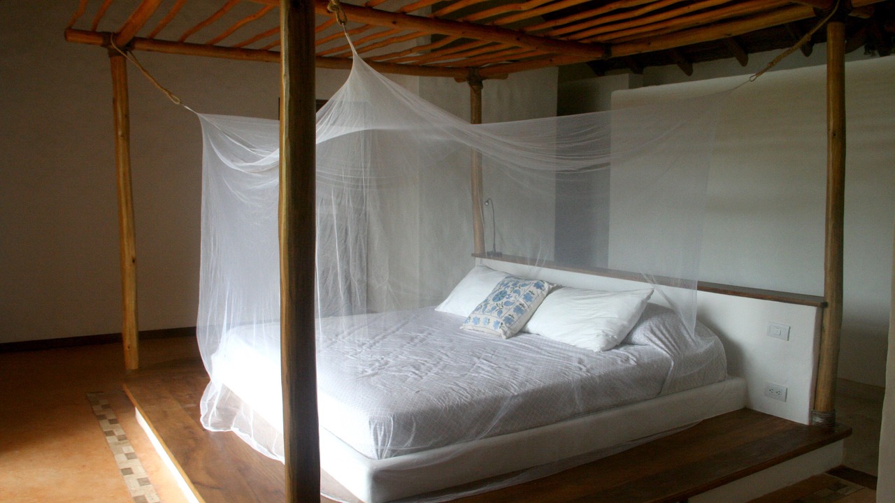 Photo of Others in Las Terrenas