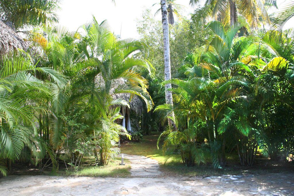 Photo of Others in Las Terrenas