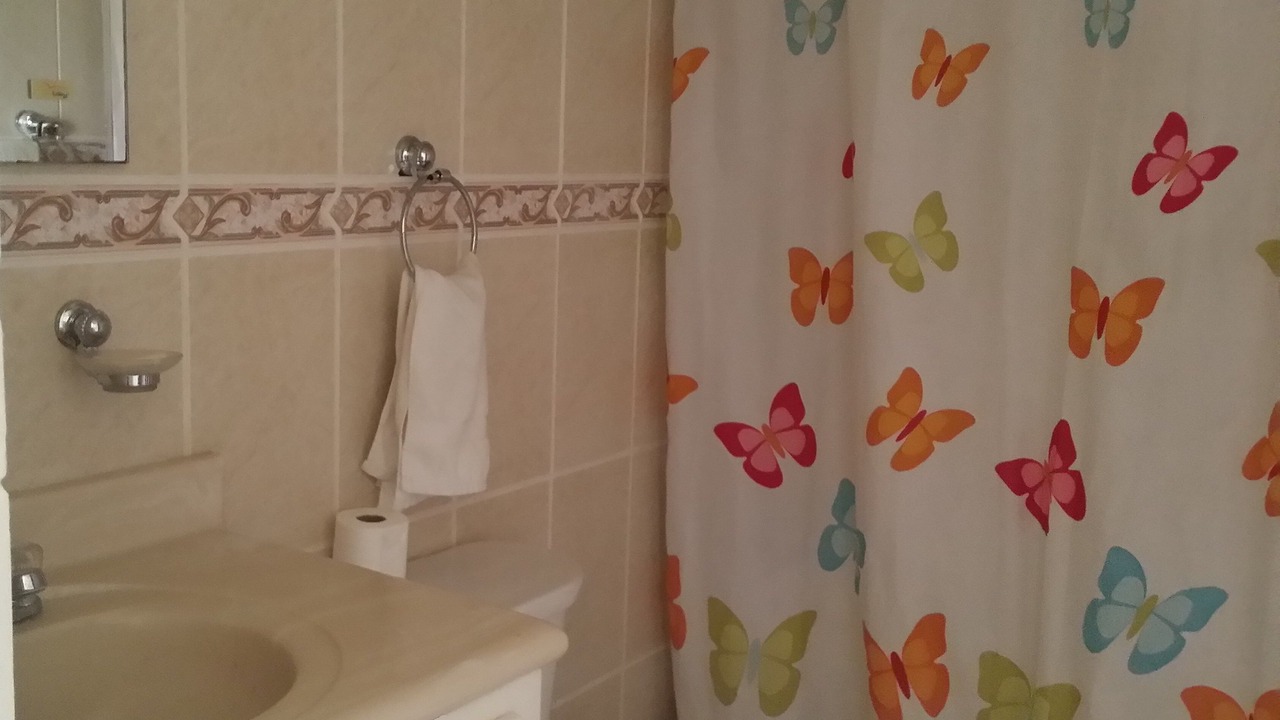 Photo of Bathroom in El Batey
