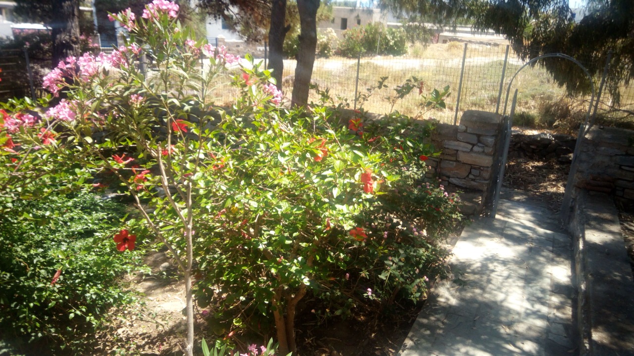 Photo of Outdoor in Agios Ioannis