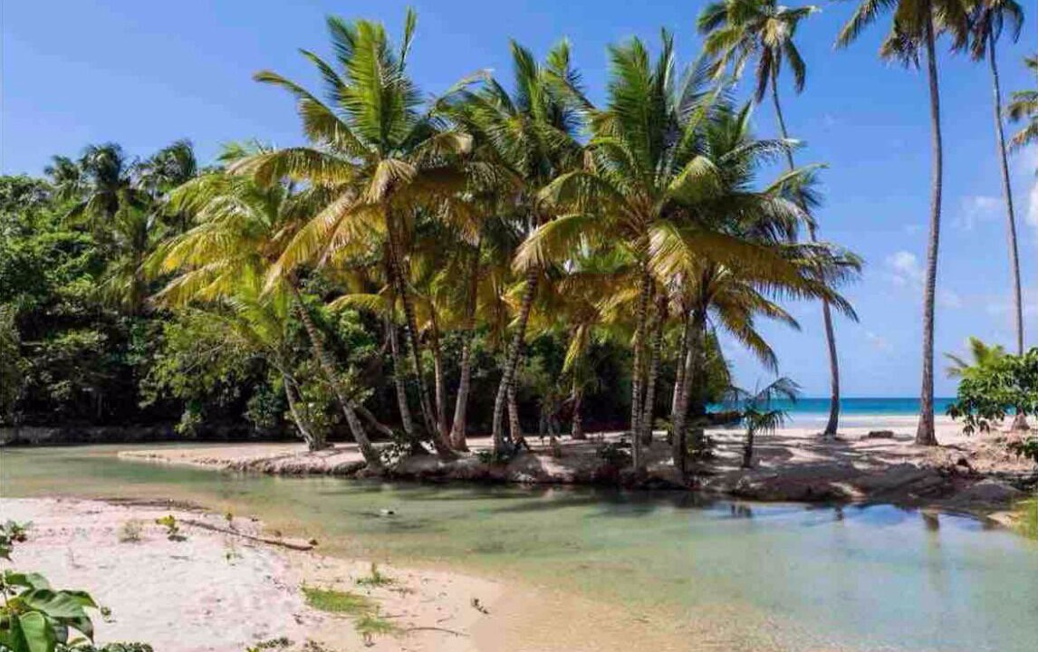 Photo of Others in Puerto Bahia