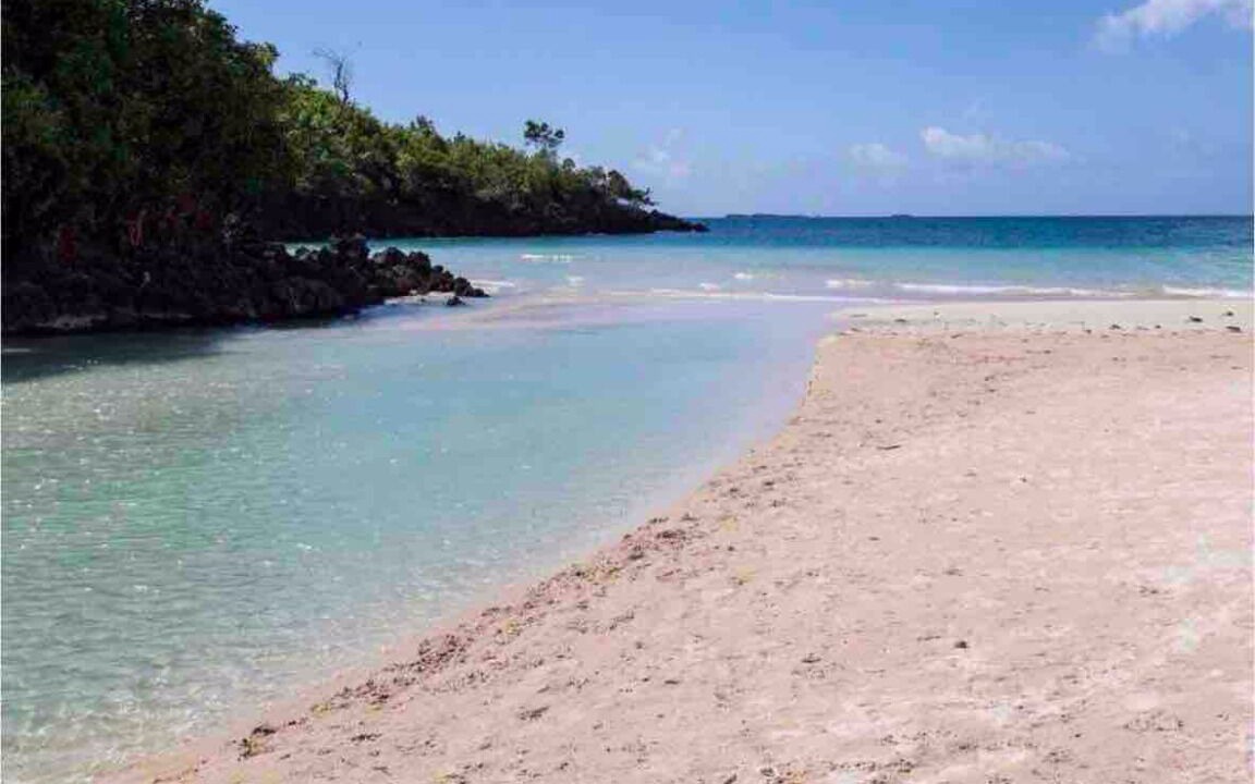 Photo of Others in Puerto Bahia