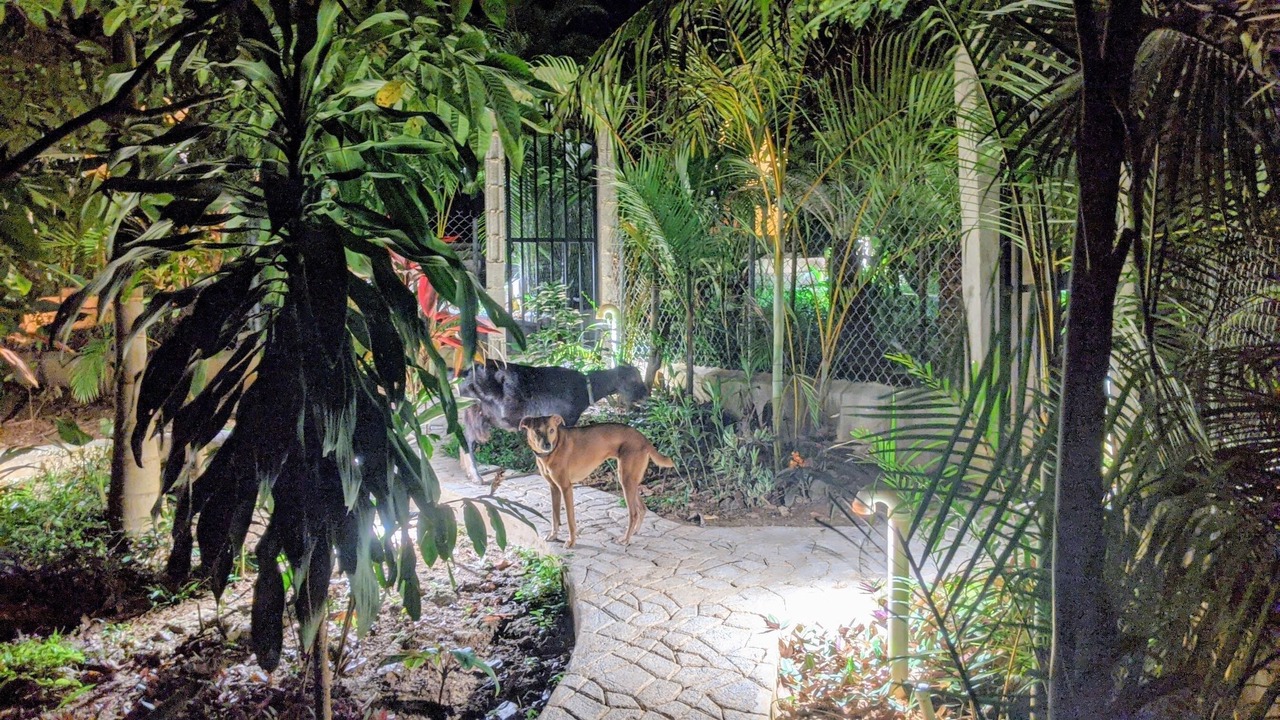 Photo of Outdoor in La Iglesia