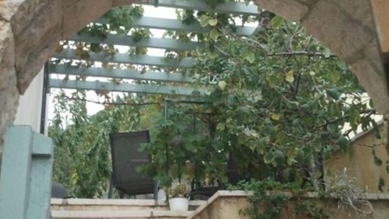 Photo of Others in Petaleia