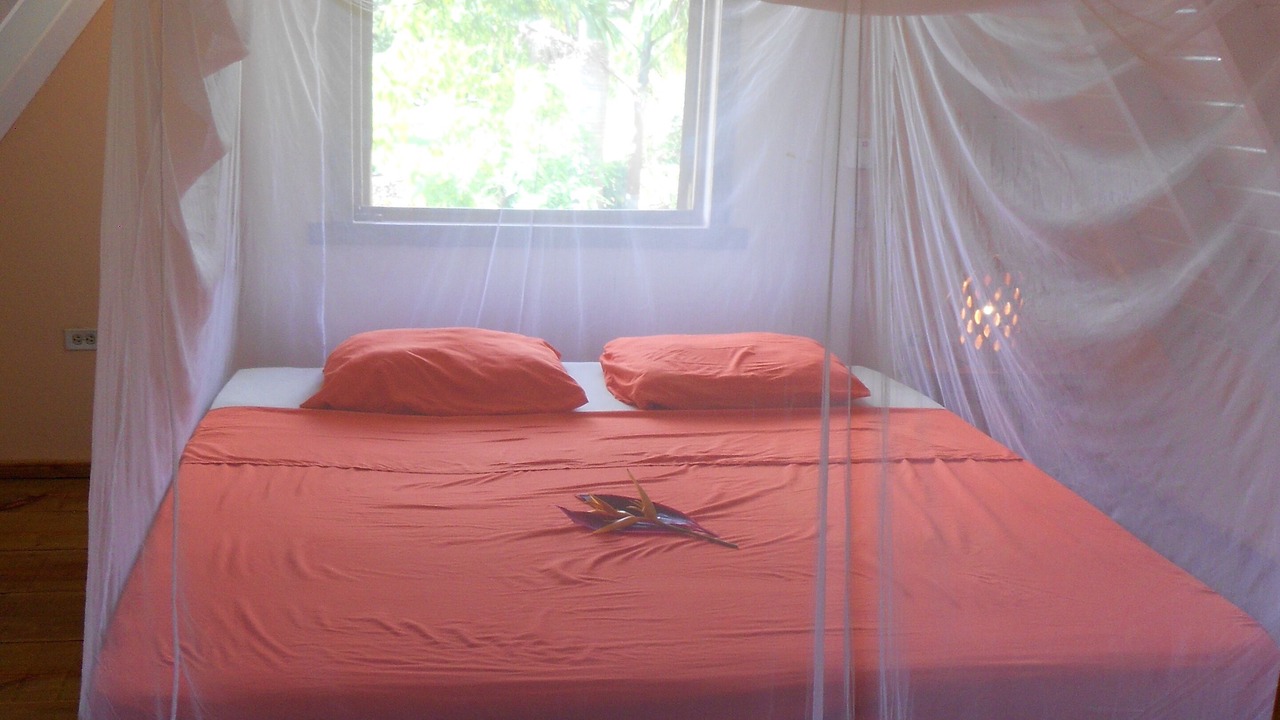 Photo of Bedroom in Las Galeras