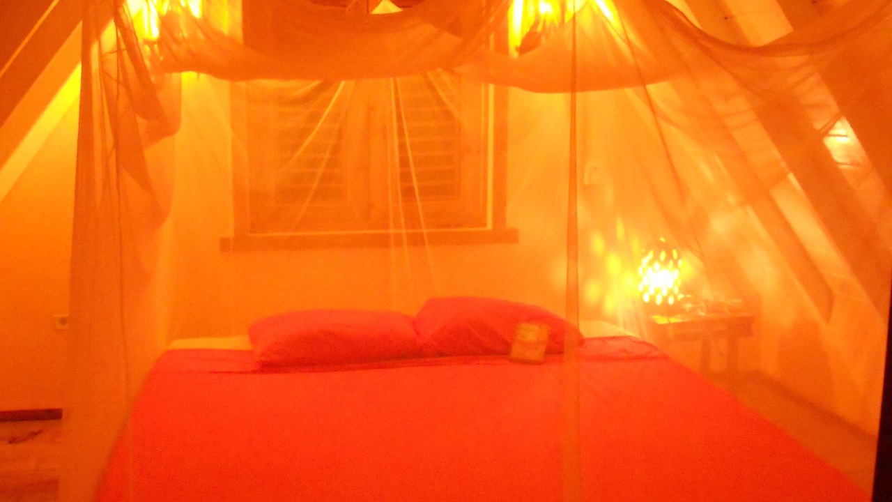 Photo of Bedroom in Las Galeras