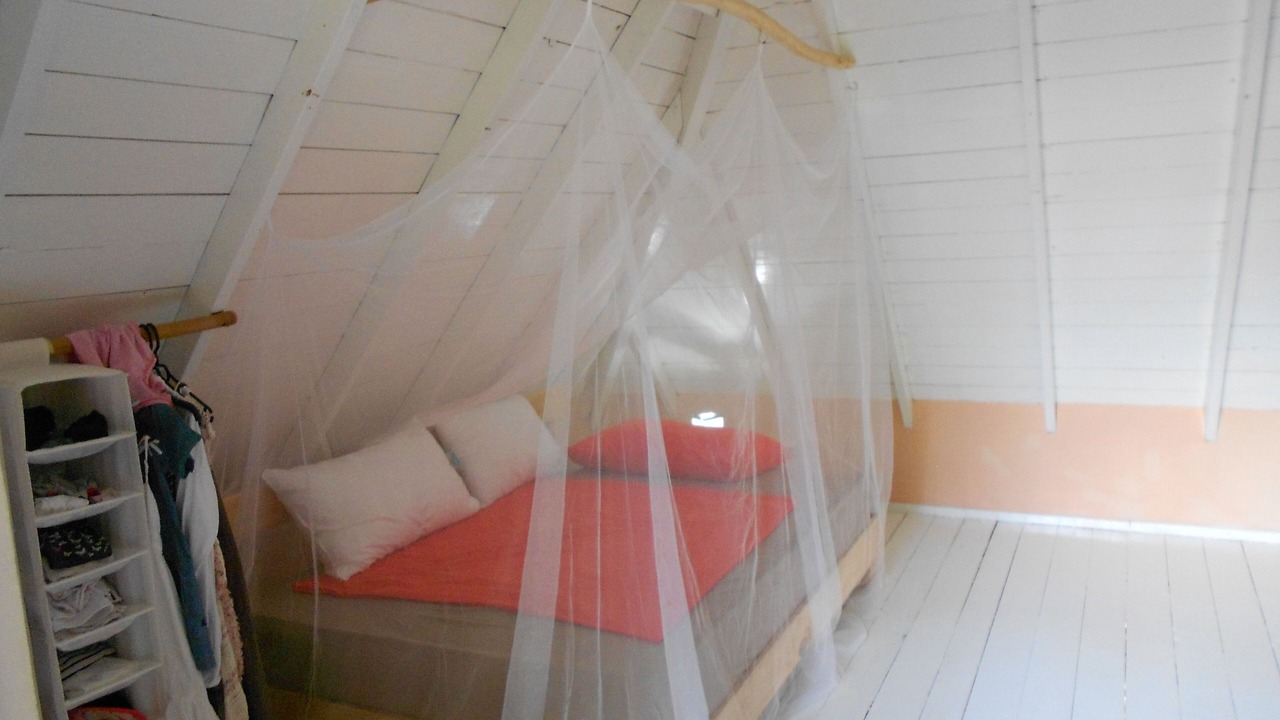 Photo of Bedroom in Las Galeras