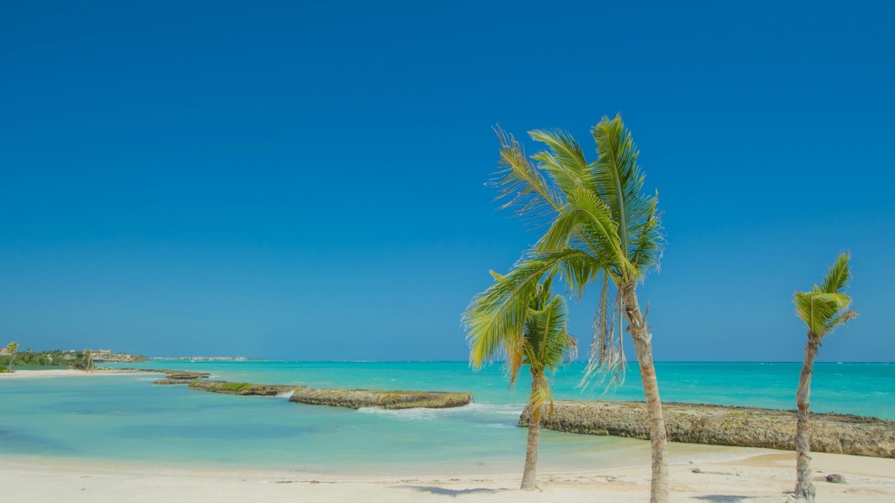 Photo of Others in Cap Cana Marina
