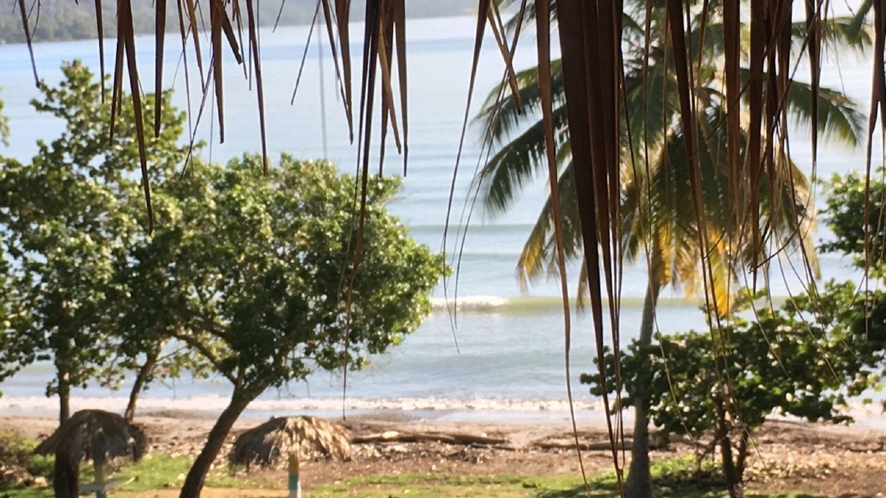 Photo of Others in Puerto Bahia