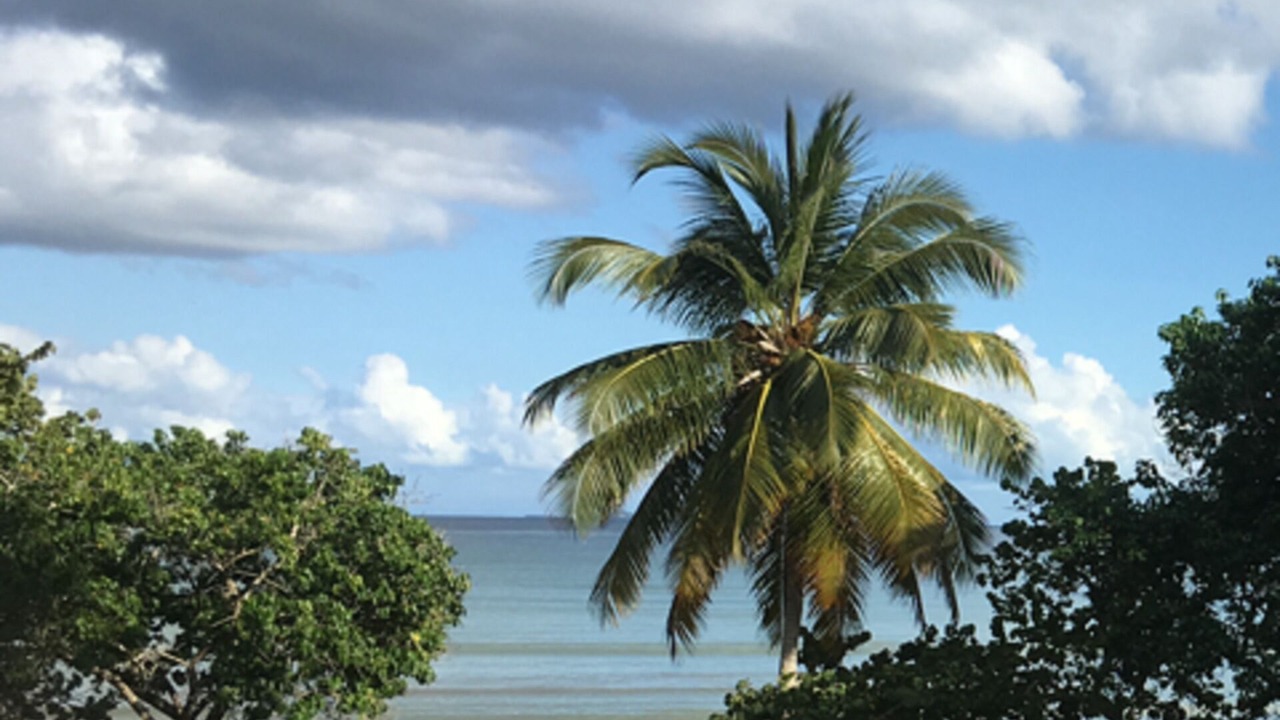 Photo of Others in Puerto Bahia