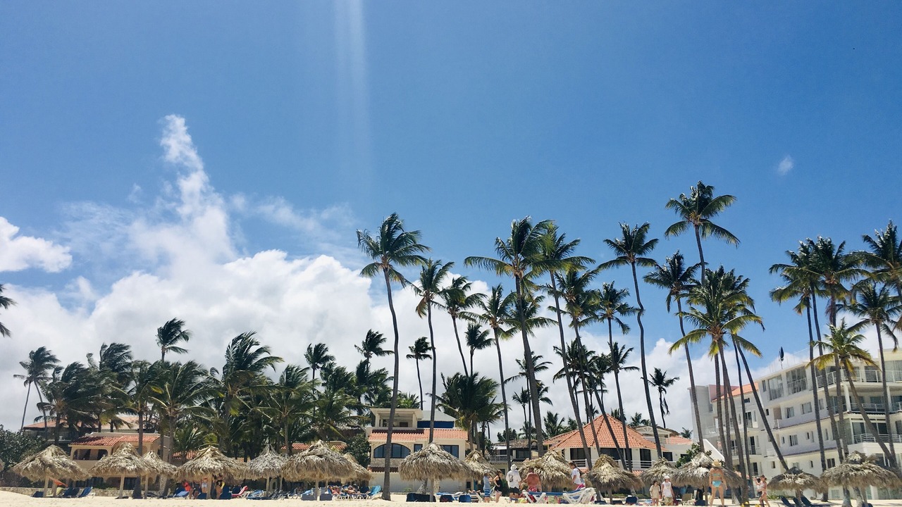 Photo of Others in Bavaro