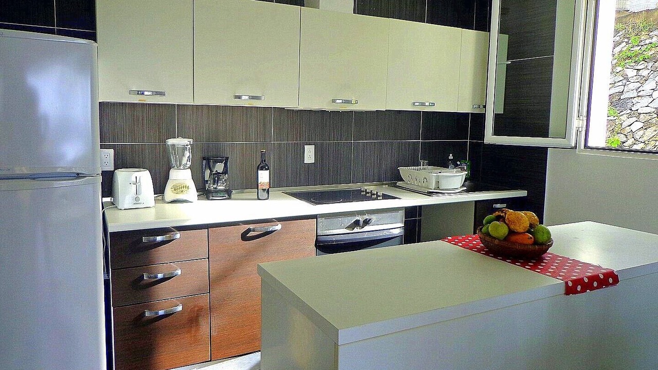Photo of Kitchen in Samana