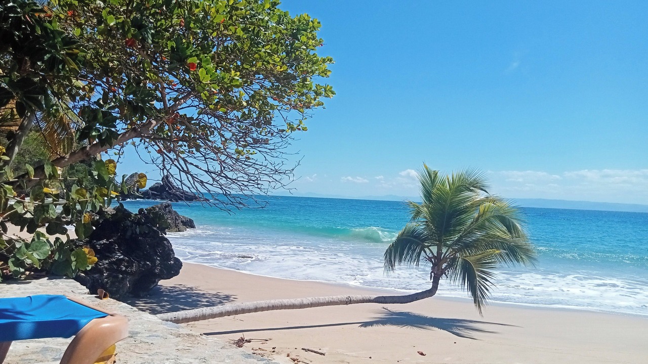 Photo of Others in Samana