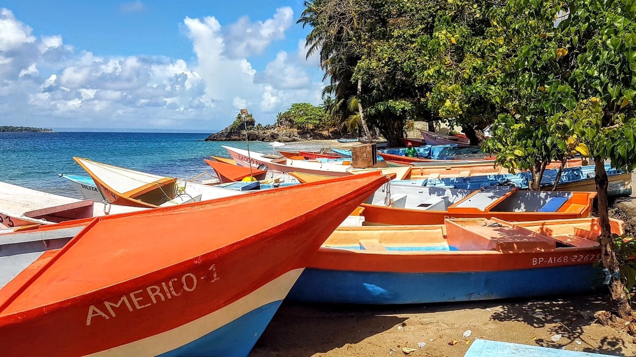 Photo of Others in Samana