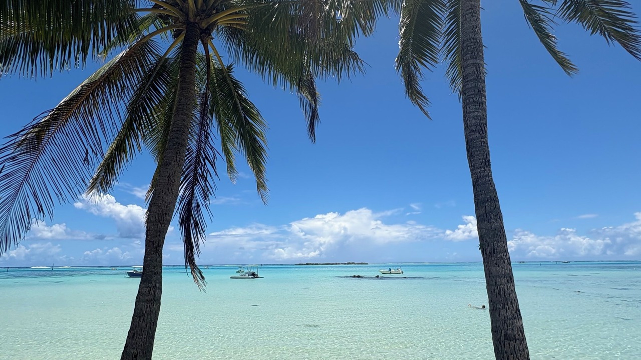 Photo of Others in Moorea-Maiao