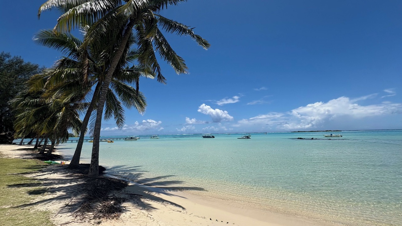 Photo of Others in Moorea-Maiao
