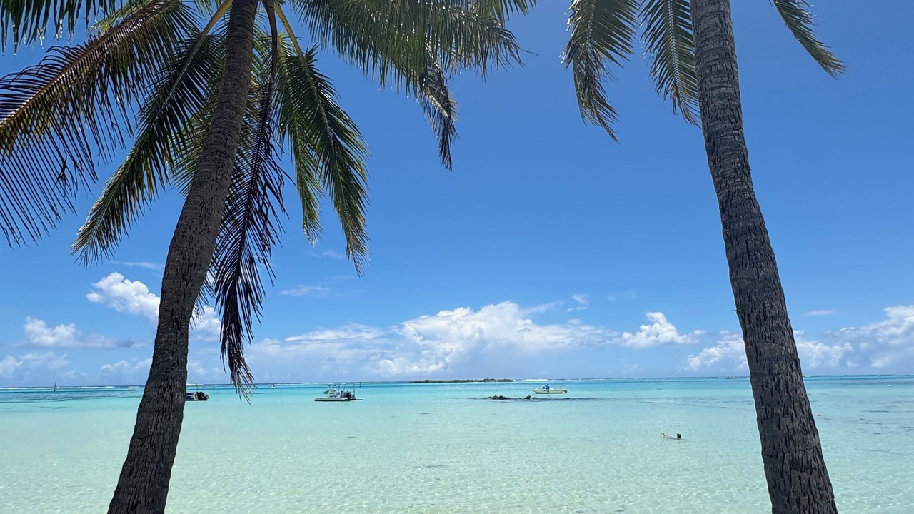 Photo of Others in Moorea-Maiao