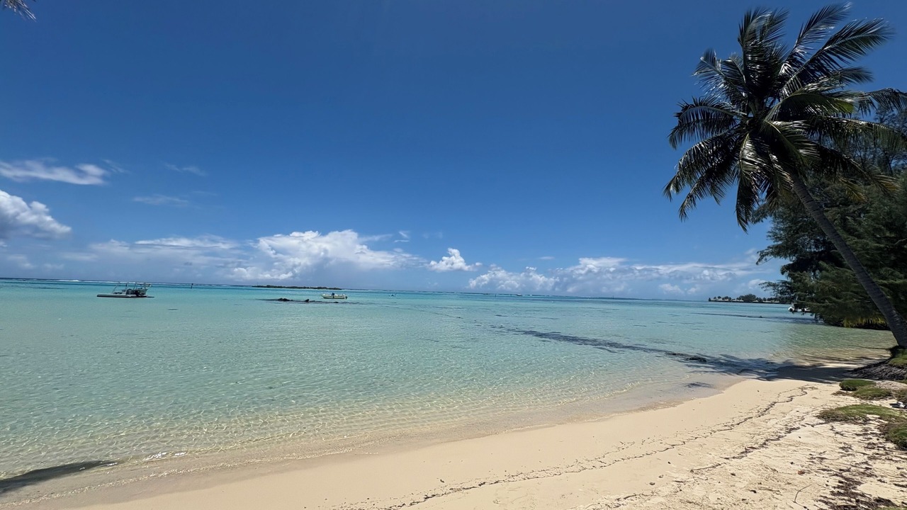 Photo of Others in Moorea-Maiao