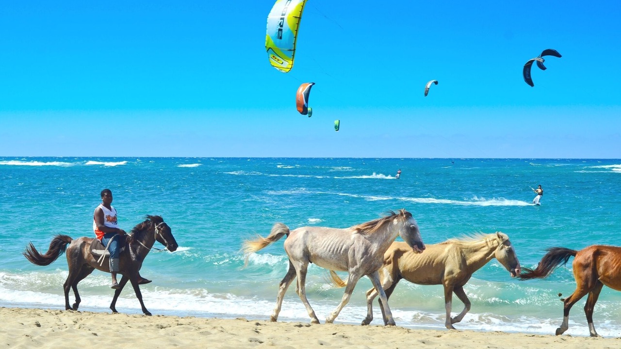 Photo of Others in Cabarete
