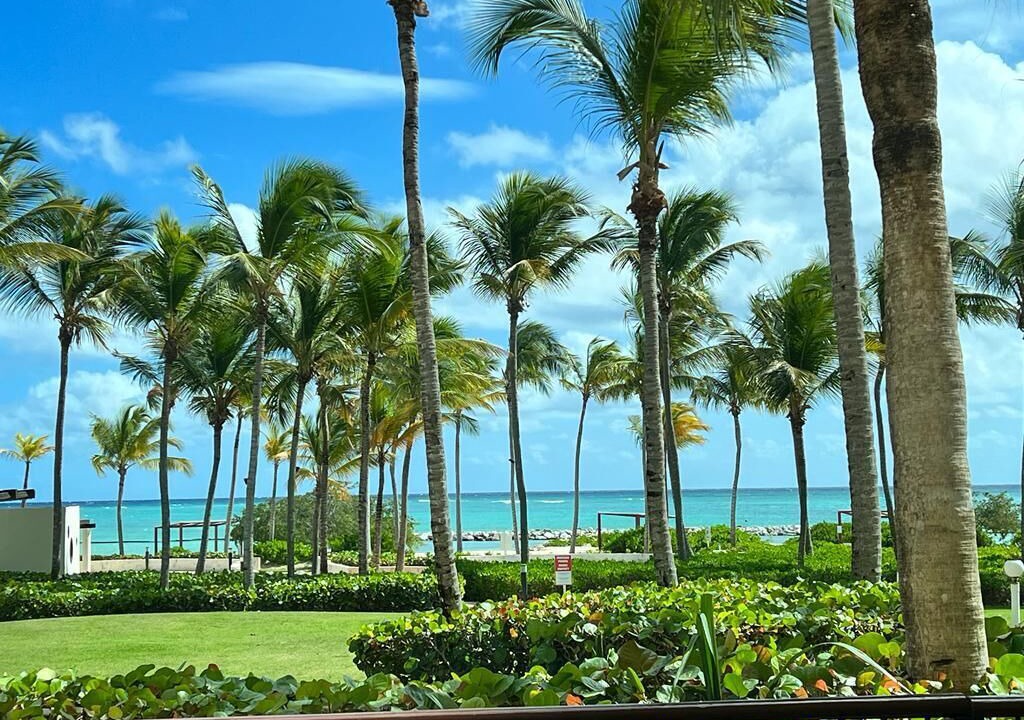 Photo of Others in Cap Cana Marina