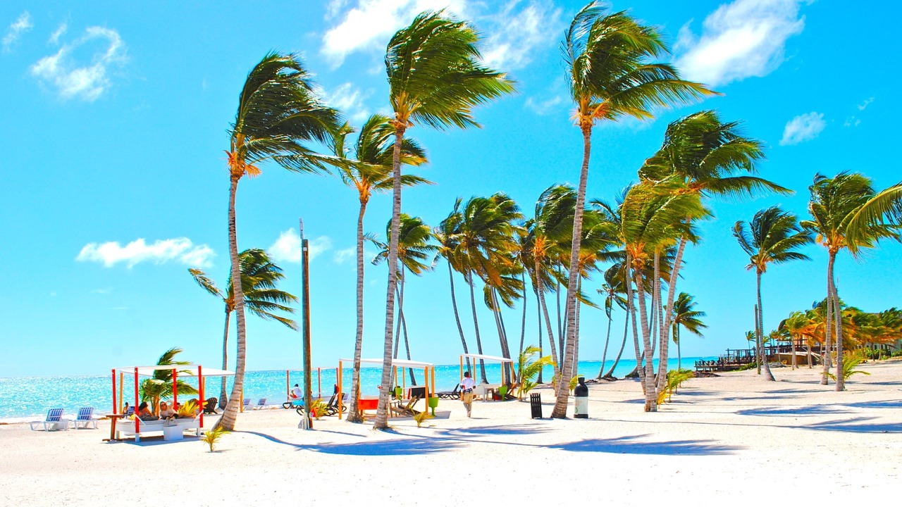 Photo of Others in Cap Cana Marina