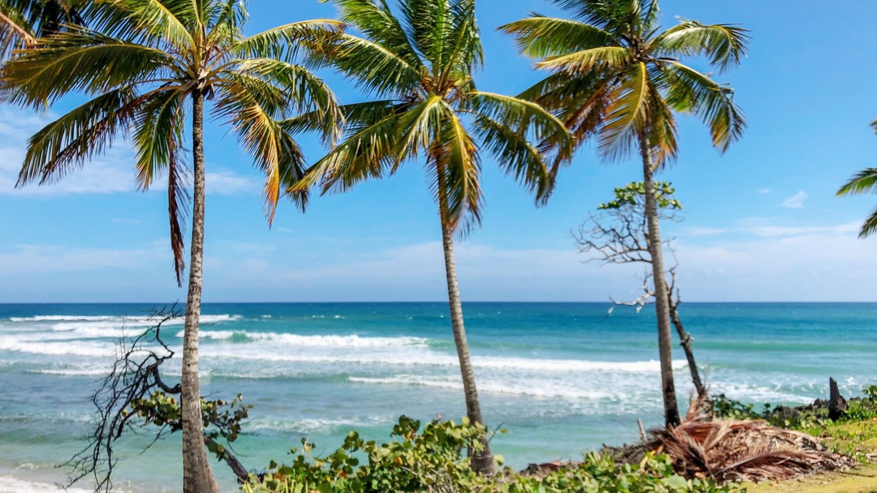 Photo of Others in Cabarete