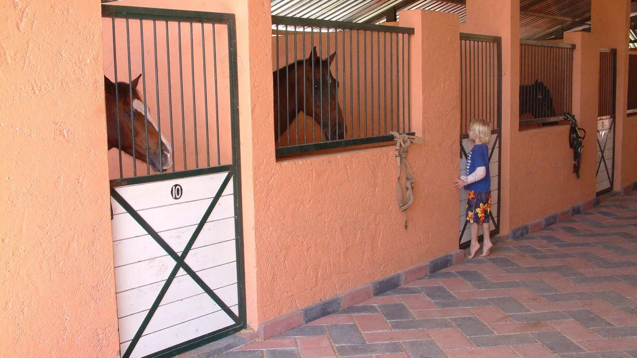 Photo of Others in Cabarete