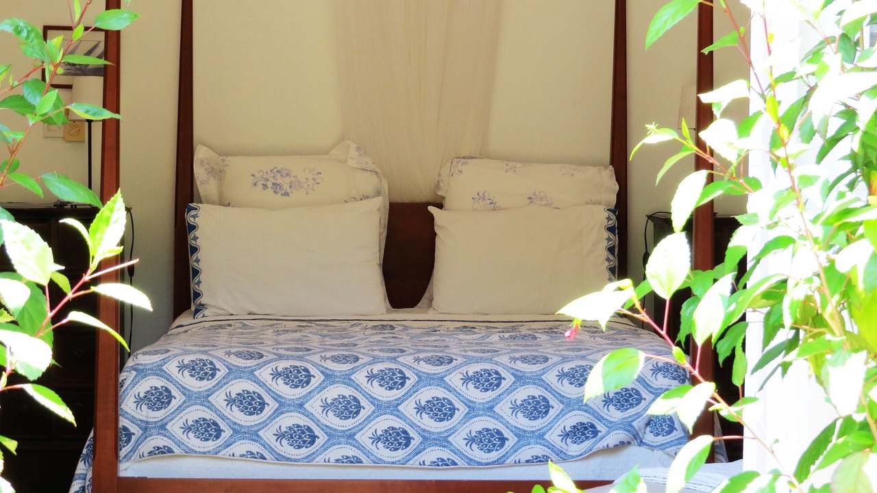 Photo of Outdoor in Cabarete