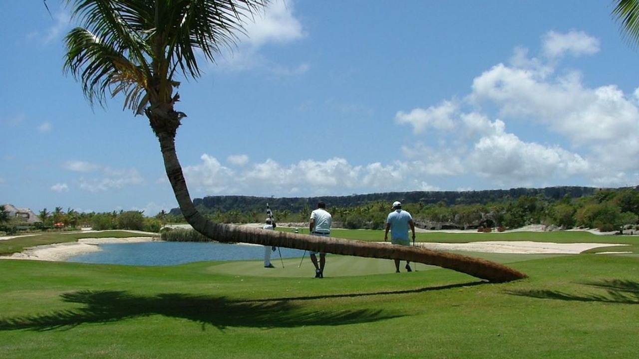 Photo of Others in Cap Cana Marina