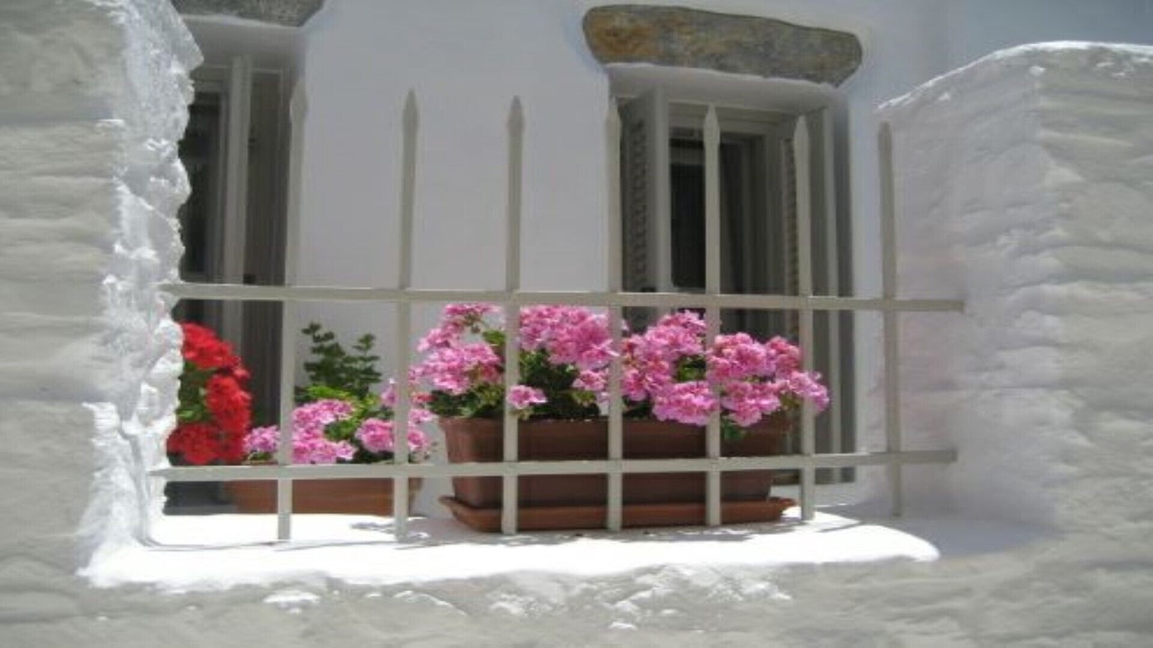 Photo of Outdoor in Amorgos Town