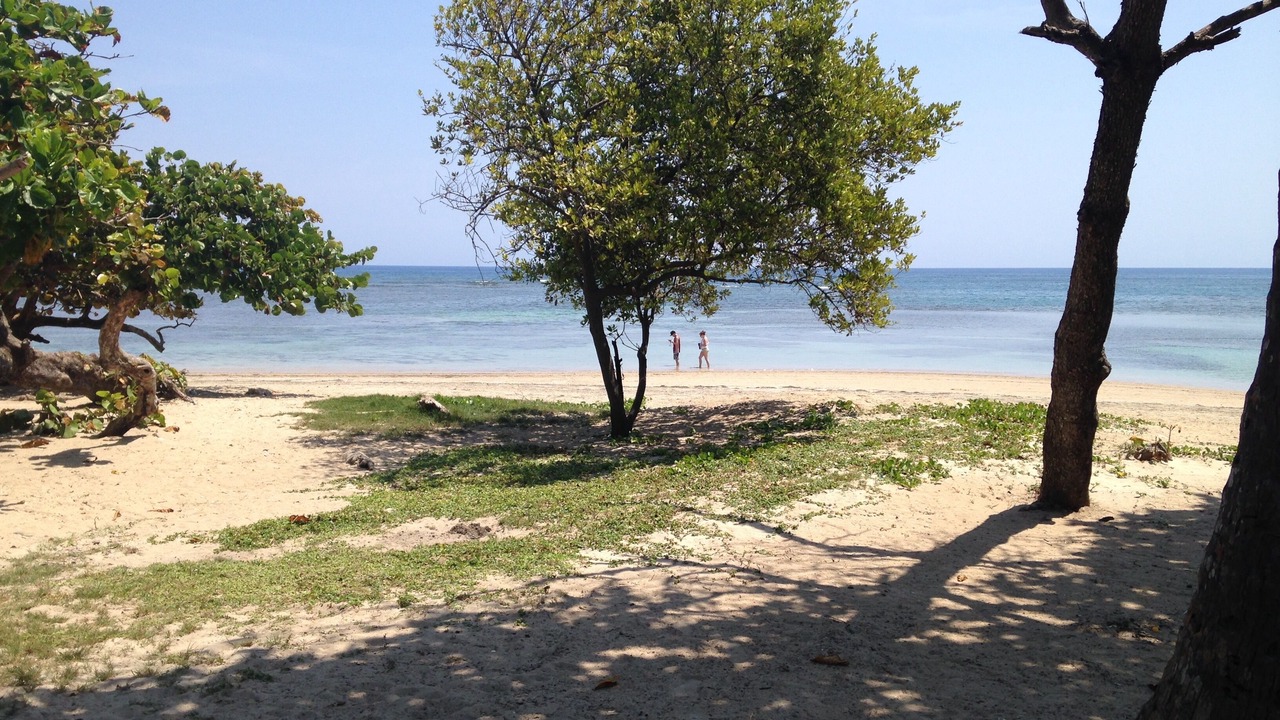 Photo of Others in Cofresi