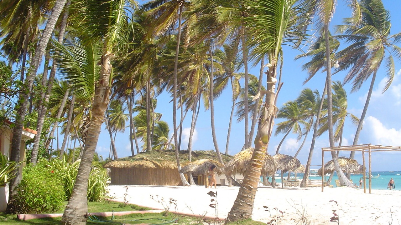 Photo of Others in Bavaro
